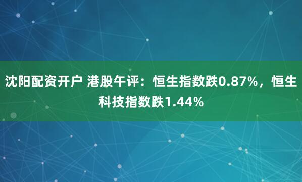 沈阳配资开户 港股午评：恒生指数跌0.87%，恒生科技指数跌1.44%