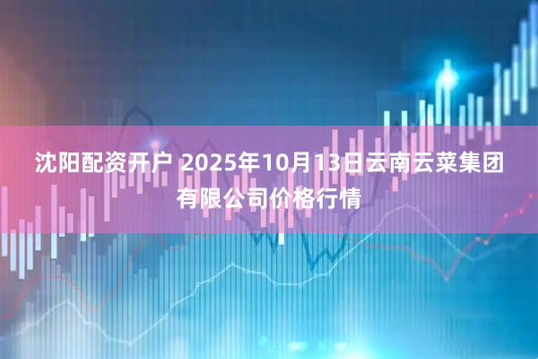 沈阳配资开户 2025年10月13日云南云菜集团有限公司价格行情