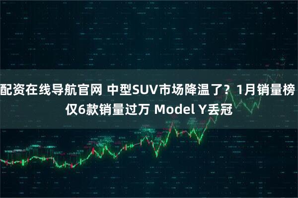 配资在线导航官网 中型SUV市场降温了？1月销量榜 仅6款销量过万 Model Y丢冠